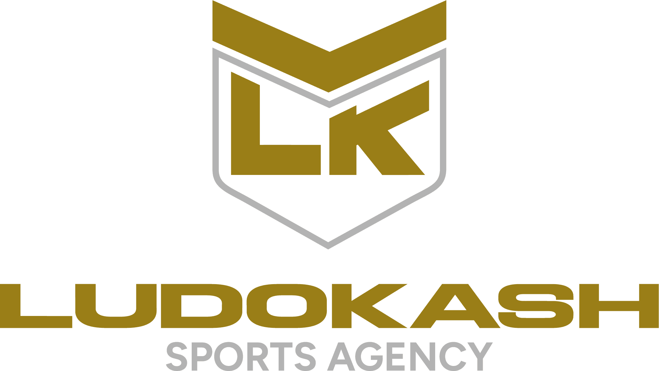 LudoKash Sports Agency